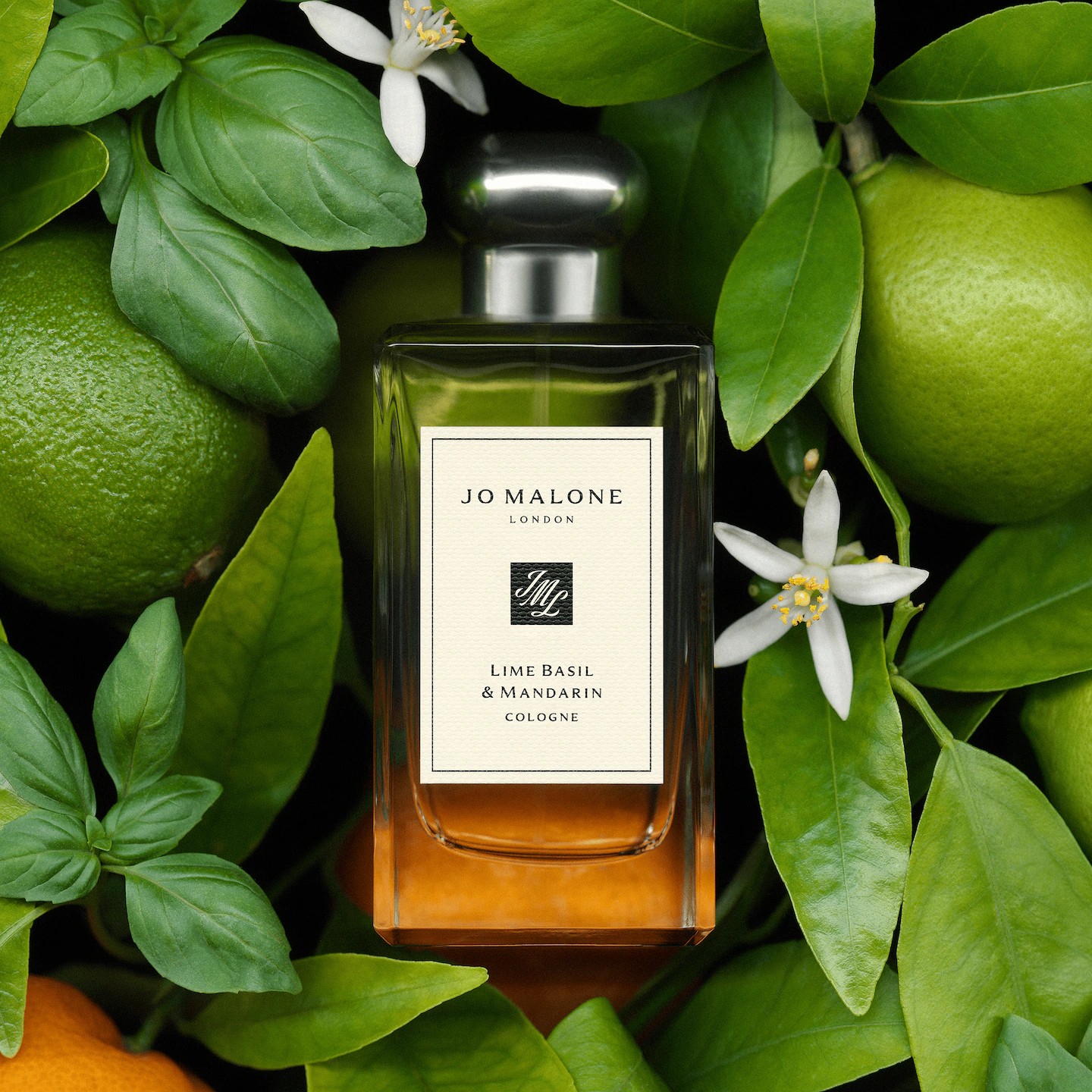 LIME BASIL & MANDARINE